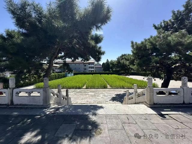 北京古建博物馆，放大10倍看细节，隆福寺藻井藏着多少秘密与奇迹