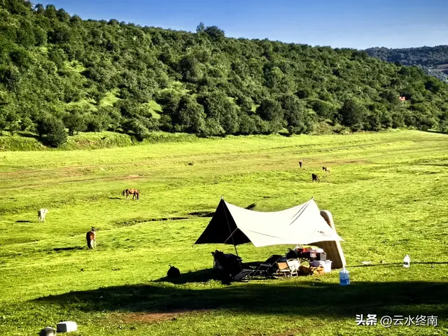关山牧场会“瑟瑟发抖”？我看多虑了，即使旁边有大片免费的草原