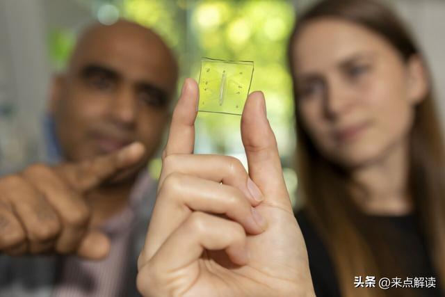 世界首个免疫肺芯片问世！精准医学迎来新突破