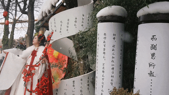 七家景区免费福利！淄博春节“错峰游”大招上线！现在出发刚刚好