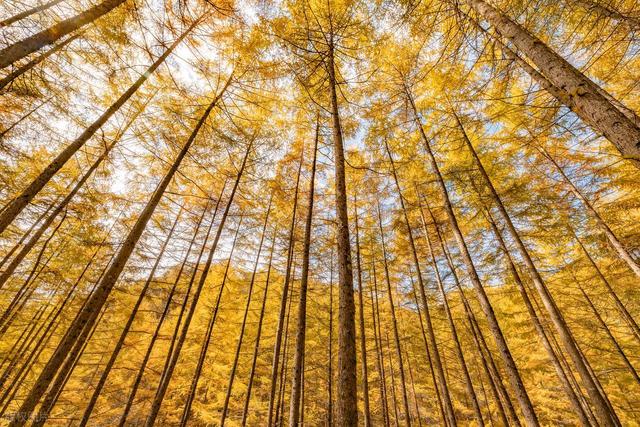 10月下旬-11月中旬，适合去的7个小众赏秋胜地，藏着浓浓秋色