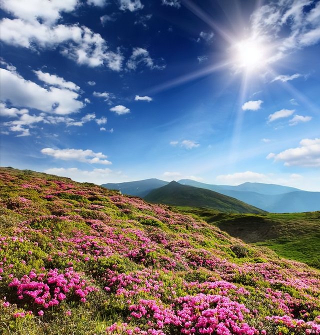 五月，推荐几个全国最适合出游的地方，收藏这一份就够了！