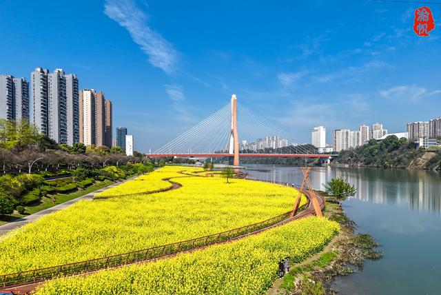 潼南的春天有多美？不出城区就能看到大片油菜花海，太让人羡慕了