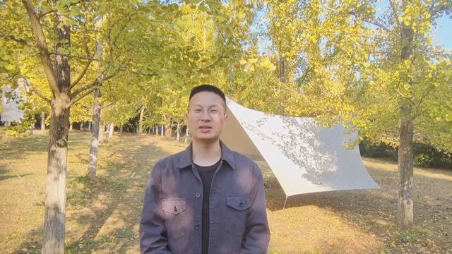 凤凰沟景区：五十亩银杏林迎最佳观赏期