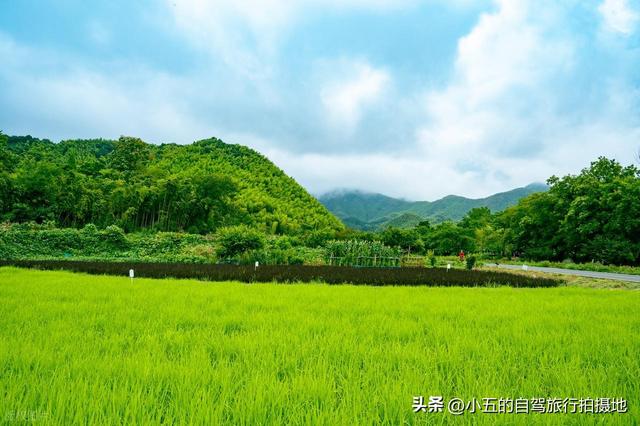 安吉秋日赏秋实测攻略！8 大打卡地 + 交通干货，直接抄