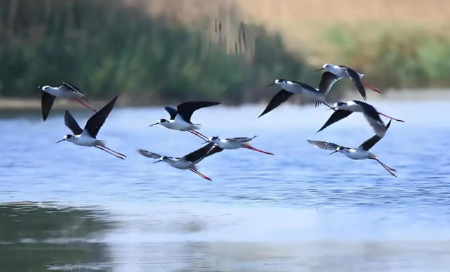 2026春节天气定了？最冷18天已锁定！