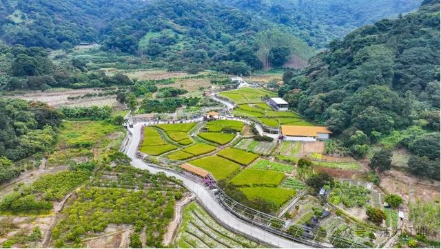 秋日必去！从化江埔5大稻田打卡攻略，邂逅金色浪漫