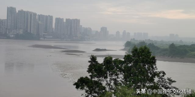 三江烟雨一壶茶