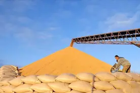 点沙成金！我国最大纯沙漠麦田试种成功，顺便还解决一桩世界难题图片