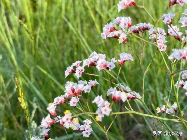 向北而行：北京自驾沽源、多伦、太仆寺旗的草原牧歌（2）沽源篇