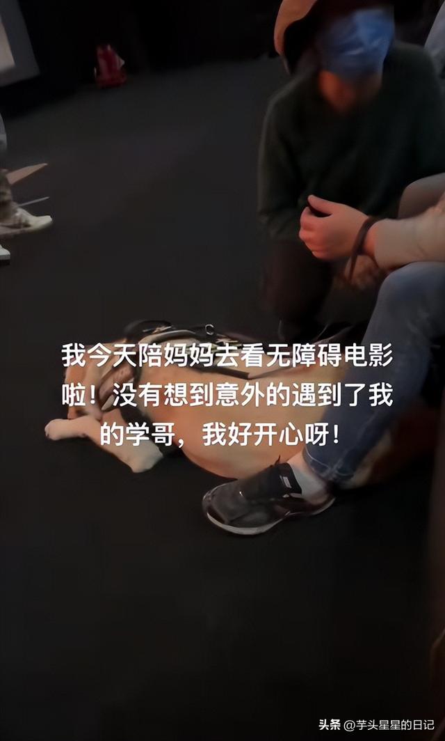 带导盲犬爬山后续：女主渴望被理解，坦言自己没错，澄清不是夫妻