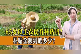 65岁以上农民有补贴吗？补贴金额到底多少？一起了解！图片