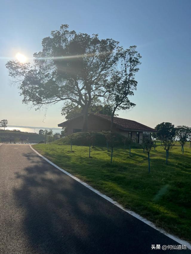 吴城狮子山观鸟