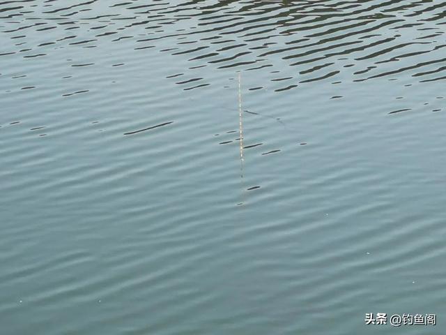 做好5点，你的浮漂会“灵敏”很多！个个都是销魂大顿口