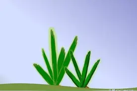 都是“房子、家”：house 和home，有什么区别？图片