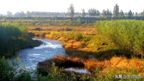 台安大麦科自然保护区：藏身辽河平原的“湿地仙境”，候鸟天堂！