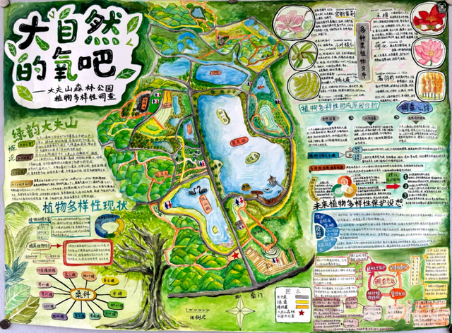 征集作品近五百件！2025年番禺区中学生环境地图征集活动圆满收官