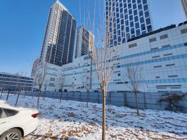 德州原城隍庙里种上了树，重修城隍庙有必要吗？