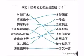 笑抽了！外国人做中文歇后语：麻雀虽小——多管闲事图片