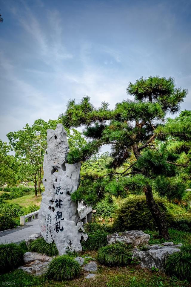 全部免费！扬州最值得一去的6个宝藏景点，好玩又好拍，赶紧收藏