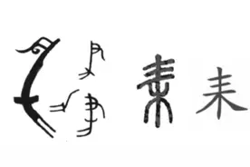 为何大禹陵在浙江，大禹故里却在四川？考古发现一件奇特文物图片