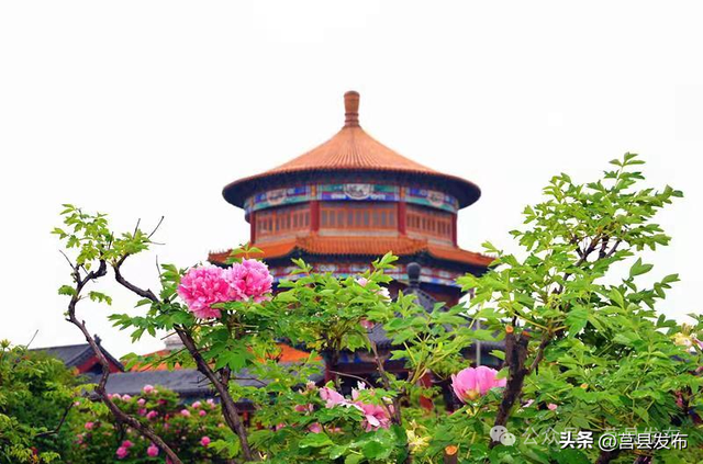 文旅山东推介莒县“宝藏小城”！