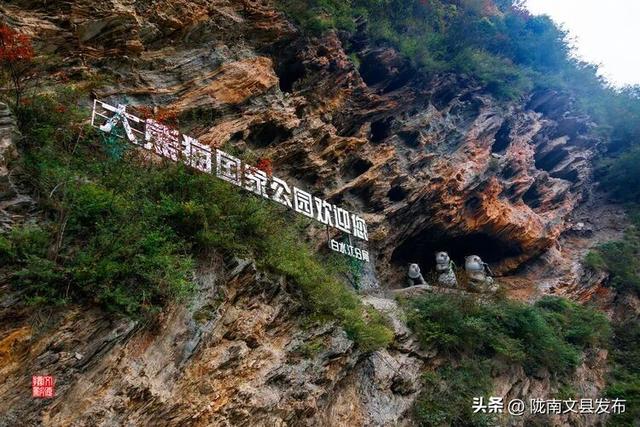 醉美文县：秋色斑斓大岭梁