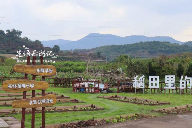 宁波海曙新打造了一个松林公园，小巧清幽却很适合休闲，值得一游