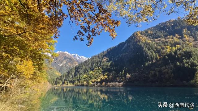 动车出行有多火?这个景区打破40年客流量纪录!