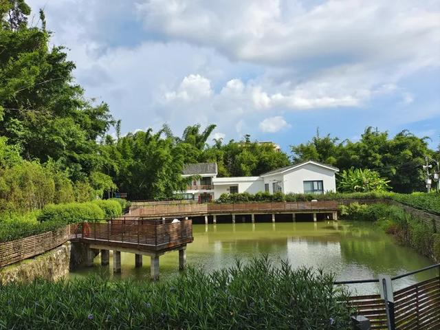 汕尾市多家景区发布闭园和跳岛游发布停航公告