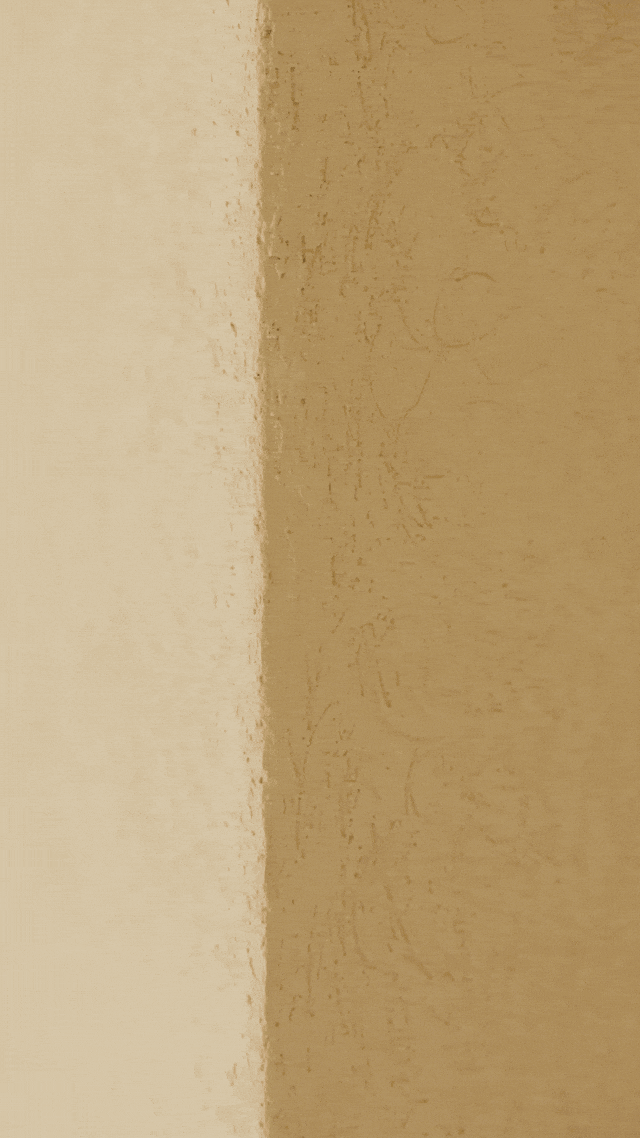 亲历行业寒冬，上海夫妻在老小区一楼改出80m²野地：治愈自己