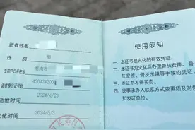 胖猫火化了！姐姐却遭质疑：到底为弟讨公道？还是为51万巨款？图片
