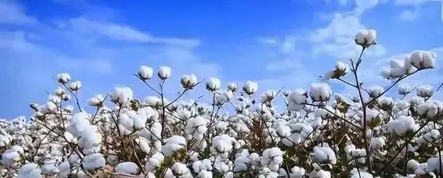 果然没让人失望！27国投票制裁中国，一国抵挡压力，坚定支持中国