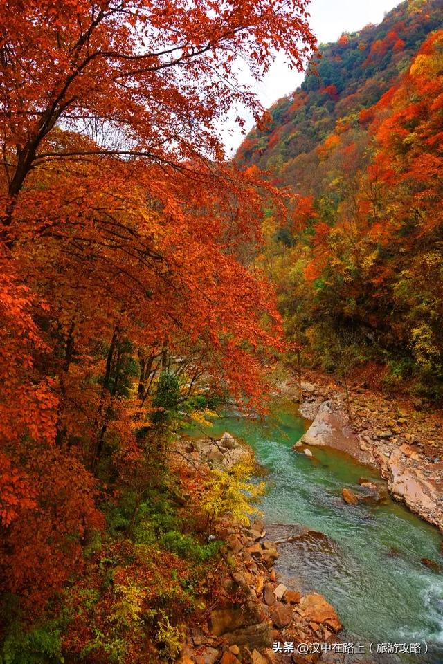 免票!半价!汉中这处红叶绝佳观赏期已至,周末快冲!