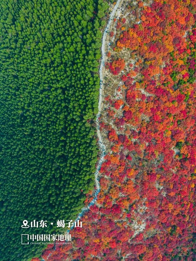 新华社聚焦+国家地理推荐！济南蝎子山“鸳鸯锅”秋景太惊艳了！