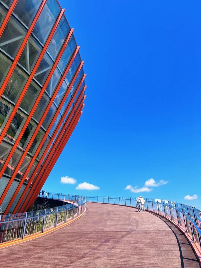 成都秋游宝藏地，周末徒步遛娃看彩林，人少景美还免费，冲鸭！