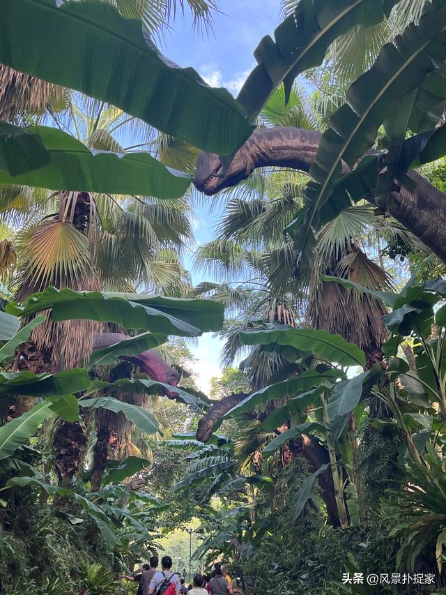 南宁青秀山，一个被名字耽误的景点！