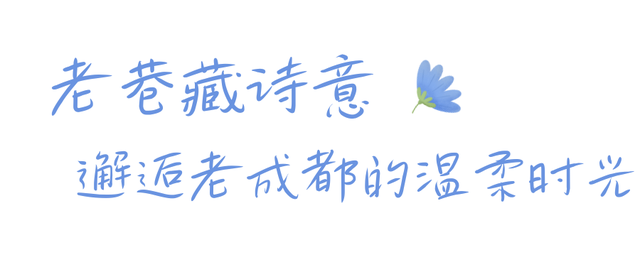 成都人太幸福了吧！出门就掉进蓝紫色花海里~