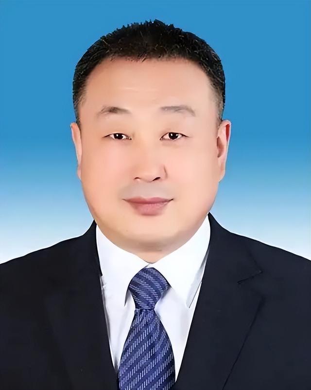 两个省政府领导班子调整
