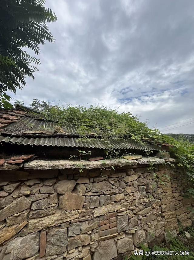 莱芜苗庄有一座隐在山坳里的古村：陡峪
