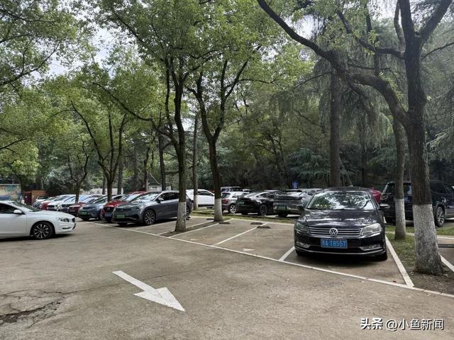 报！这是今天的钟山风景区