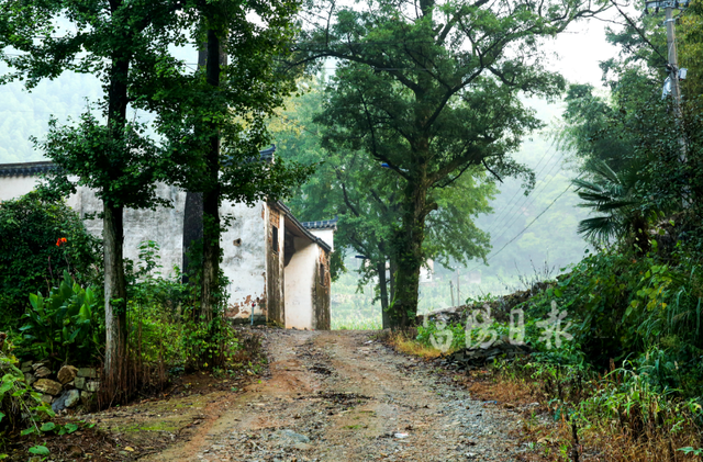 富阳3条古道，全省出名了！经过你们村吗？