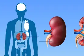 吃生蚝能补肾吗？医生坦言：真正补肾的是5种食物，不妨常吃图片