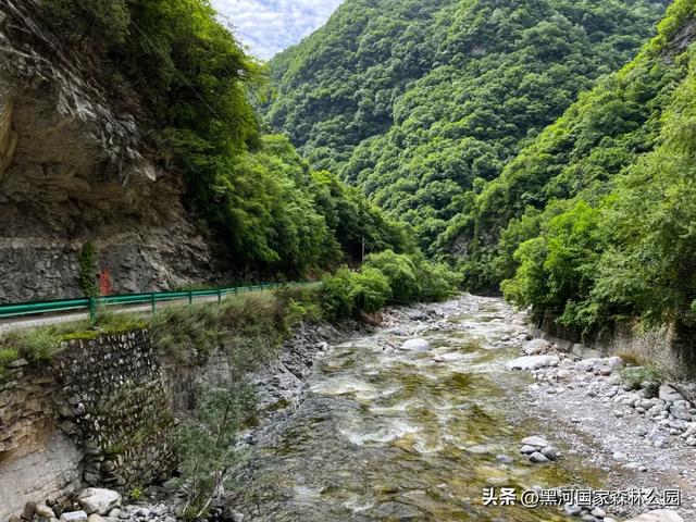 别卷了！躲进黑河的“绿野仙踪”，把秋天装进后备箱！
