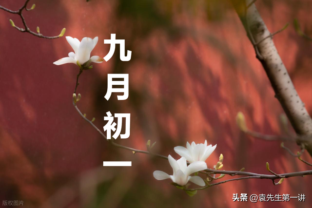 不是迷信！今日九月初一，记得：1不出、2不坐、3不泡、4不补！
