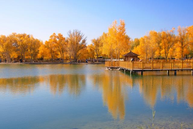 酒泉金塔胡杨林，时光凝固成美丽的神话，奔赴一场秋季的浪漫之旅