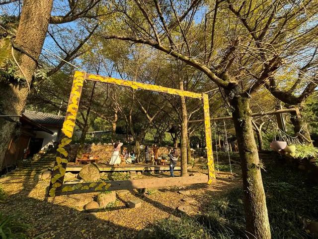 邵阳人藏不住的秋冬快乐!这些“金色浪漫”,@所有人来约!