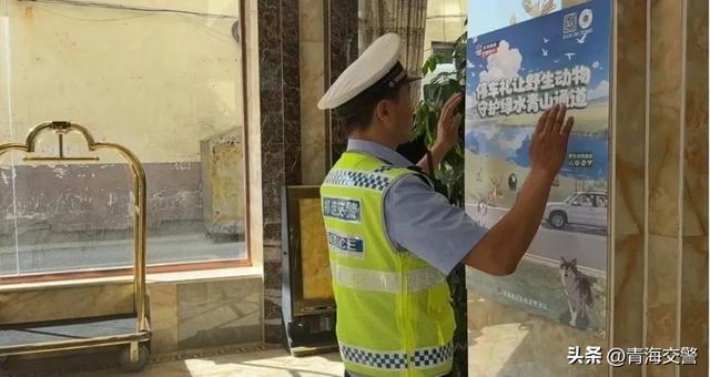 进景区、优化通行、更新宣传阵地...海北公安交警多举措守护甘青旅游环线 | 乐游青海 交警同行