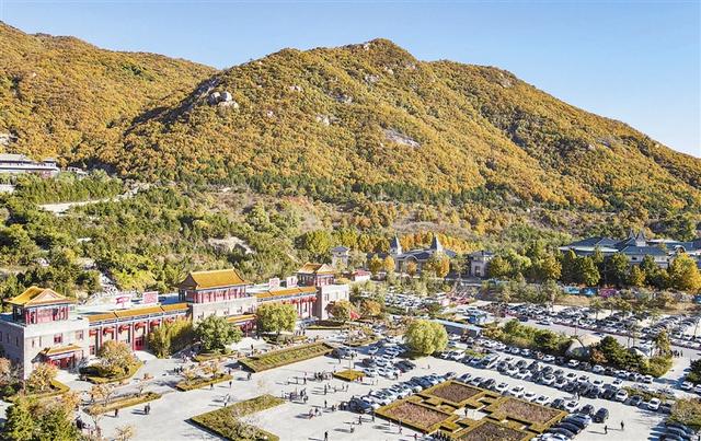 “叶”色正美 导航“津”秋 探寻浪漫滤镜里的街巷园区