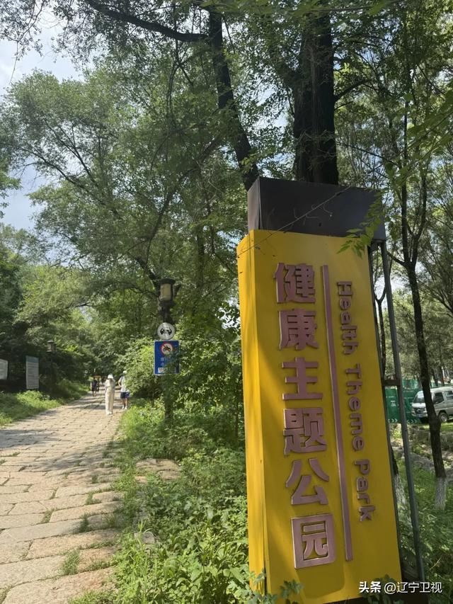 抚顺一日游小众路线曝光!90%的人没玩过的宝藏玩法→